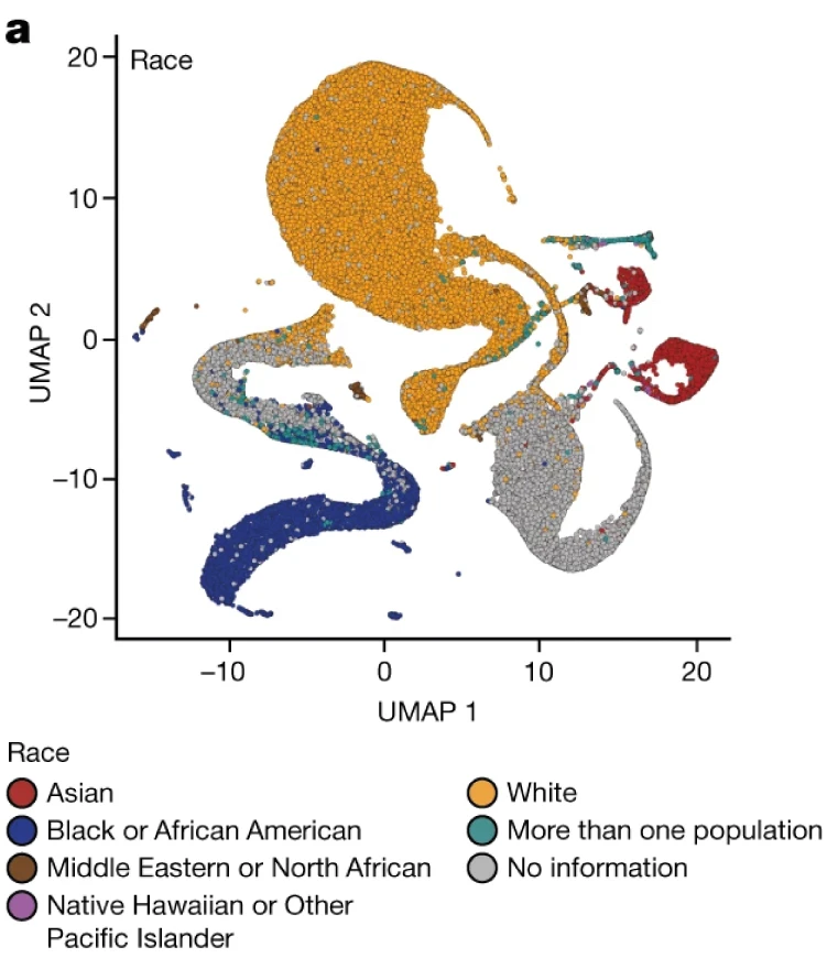 UMAP controversy