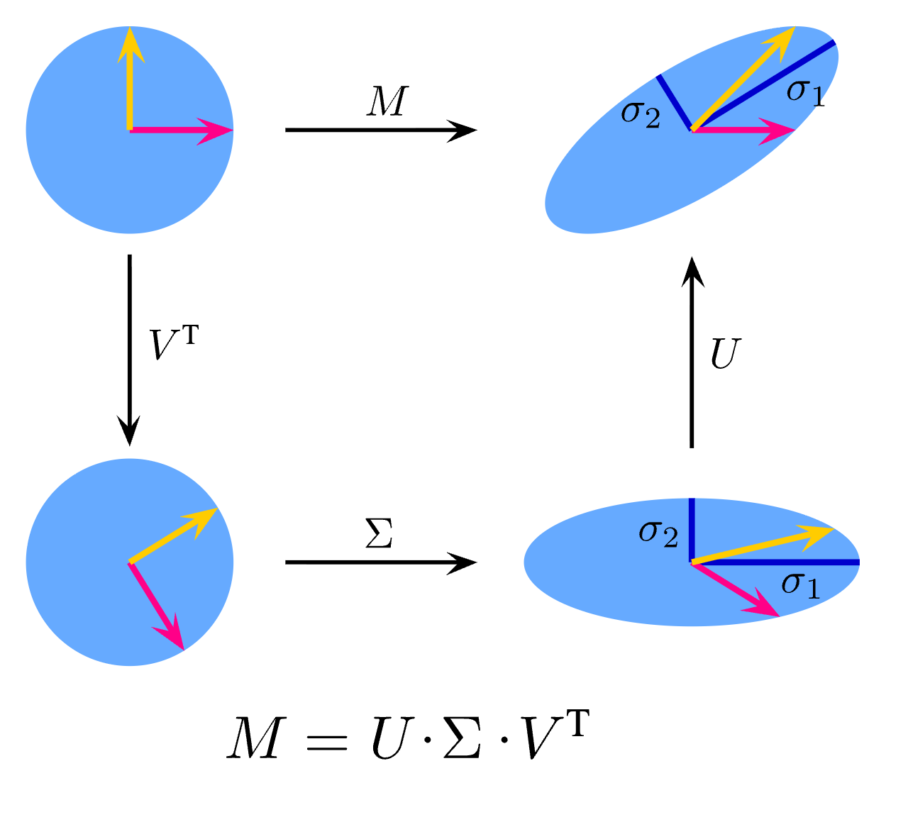 SVD as three operations: V transpose rotates the input, Sigma stretches the coordinate directions, and U rotates the output. The same two colored vectors are tracked throughout.